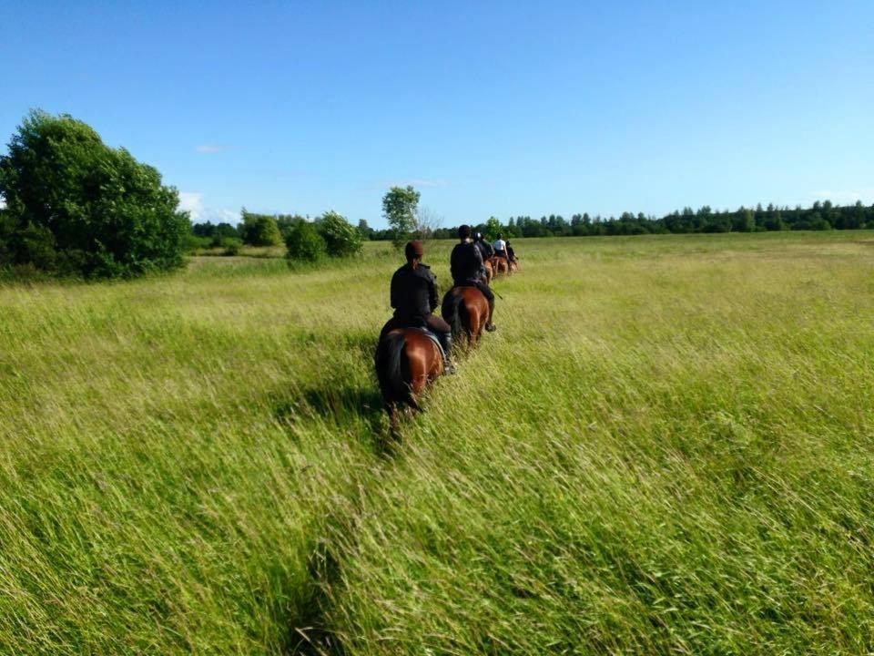 Sassi Talu Horsefarm Pärnumaa Exterior foto
