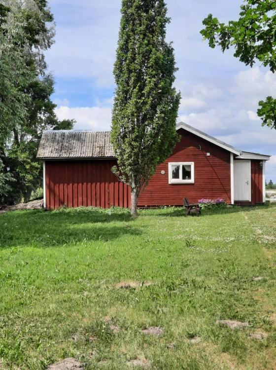 Sassi Talu Horsefarm Pärnumaa Exterior foto